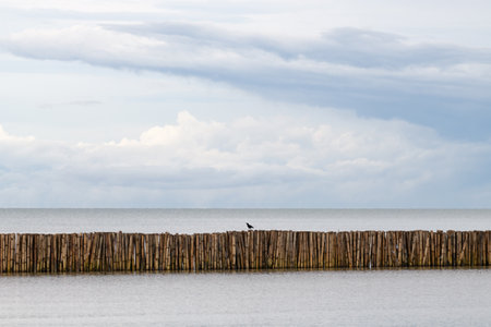Wave shields in the sea made of bambooの写真素材