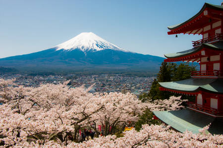 Pagoda Redのeditorial素材