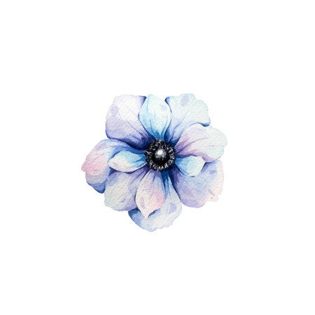 Anemone. Watercolor illustration of airy blue anemone. Botanical illustration. Hand painted flower isolated on white background. Delicate watercolor spring flowers for design, printing on cards.の写真素材
