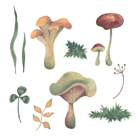 Set of autumn watercolor elements with colored pencil texture. Mushrooms, russula, chanterelle, honey fungus . Muted colors. Hand drawn illustration for design. Printing on cards, notebooks.の写真素材