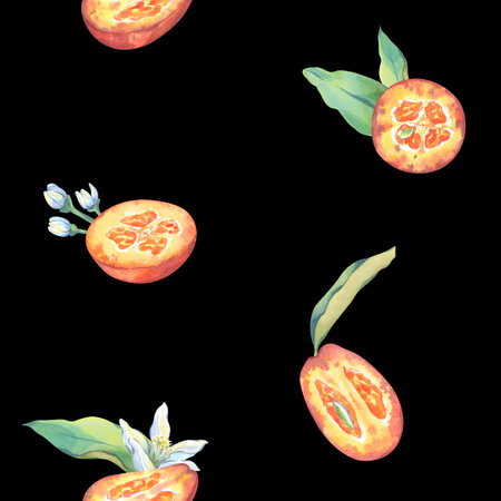 Qumquat seamless watercolor pattern. Botanical illustration. Fruit in section with leaves and flowers for your design. Citrus on black background for printing on gift paper, cards, fabricの写真素材