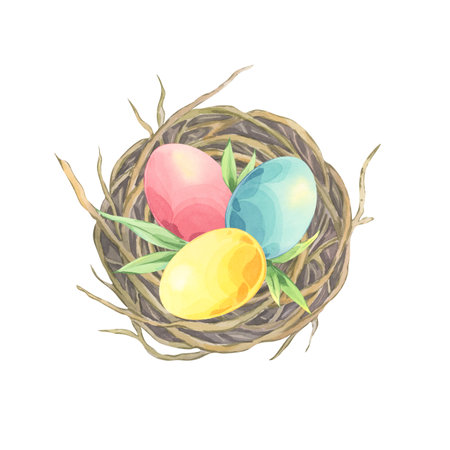 Watercolor composition of a birdâs nest with colored easter eggs on white background. Top view. Fresh green leaves. Festive hand drawn elements. Illustration perfect for greeting cardsの写真素材