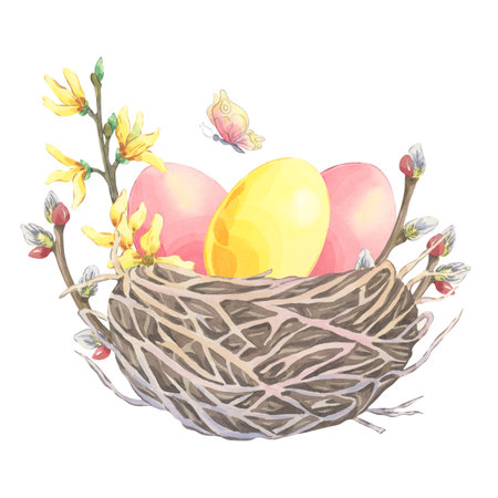 Watercolor birdâs nest with red and yellow colored easter eggs on white background. Willow branch and forsythia decor. Festive hand drawn composition. Illustration perfect for greeting cardsの写真素材