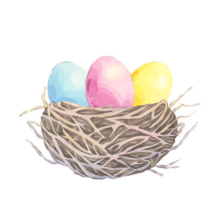 Watercolor birdâs nest with colored easter eggs on white background. Festive hand drawn minimalistic composition. Picturesque illustration perfect for greeting cardsの写真素材