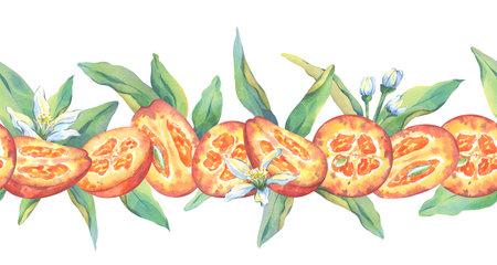 Kumquat seamless border. Halves of juicy ripe kumquat, fresh green leaves and flowers. Citrus position for kitchen art, packaging design, textiles, fabric printingの写真素材
