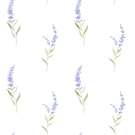 Simple watercolor pattern with lavender sprigs on a white background. Stylized hand drawn flowers for application on fabric or gift wrapの写真素材