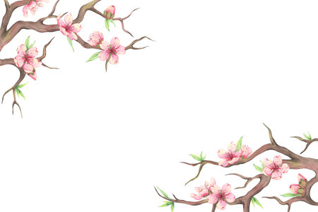 Watercolor illustration of spring tree flowers. Rectangular frame decorated with branches of blossoming sakura. Almond blossom for design of cards, postcards and invitationsの写真素材