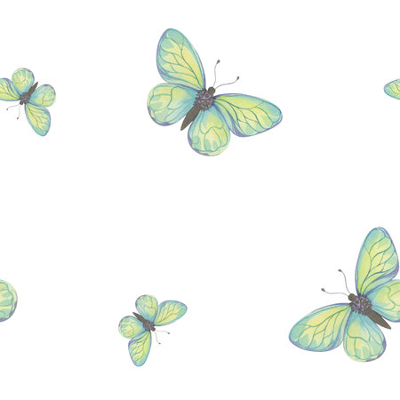 Watercolor Butterfly Pattern on White Backgroundの写真素材