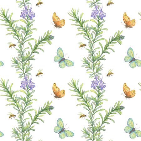 Watercolor pattern with blooming rosemary, butterflies and bees. Botanical watercolor illustrationの写真素材