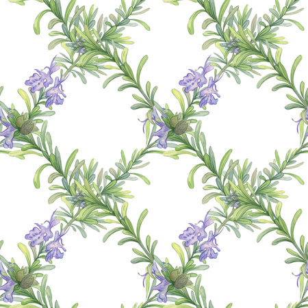 Twigs of blooming rosemary. Seamless watercolor patter. Checkered pattern. Botanical illustration. Composition suitable for printing on fabric, packaging and wallpaperの写真素材