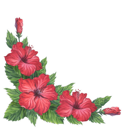 Composition with red hibiscus flowers, buds, and lush green leaves. Hand-painted watercolor botanical illustration. Ideal for greeting cards, tropical-themed designs, and fabric printsの写真素材