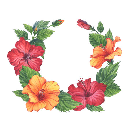 Watercolor hibiscus floral wreath with red and orange flowers. Hand-painted illustration of rosa sinensisの写真素材