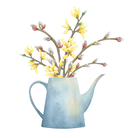 Watering can with pussy willow and forsythia - watercolor illustration for spring floral decorの写真素材
