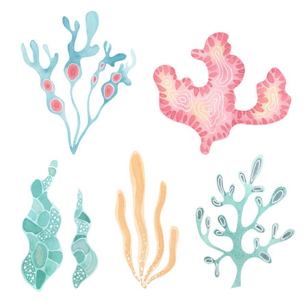 Watercolor decorative seaweed collection - stylized ocean algae illustrationの写真素材