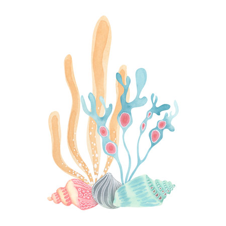 Sea life clipart - seaweed and shells in pastel colors. Hand-painted watercolor illustration with pencil texture. Perfect for stationery, kids books, scrapbooking, and ocean-themed decorationsの写真素材