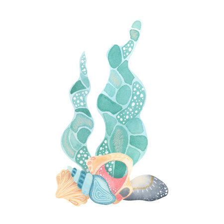 Decorative seaweed and shells in pastel colors. Watercolor hand painted composition. Illustrative drawing technique. Good for sea-themed cards, stationery, childrens booksの写真素材