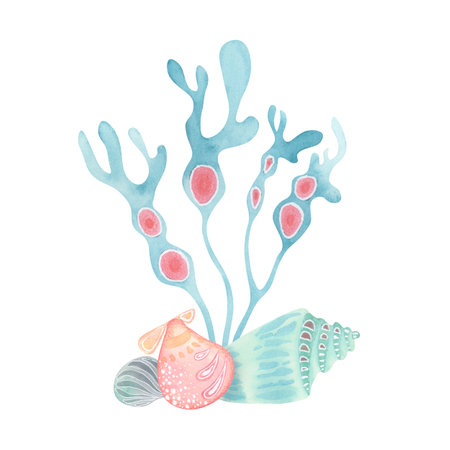 Stylized seaweed and shells. Decorative watercolor composition in pastel tones with soft pencil texture. Great for undersea-themed prints, kids decor, and creative journalingの写真素材