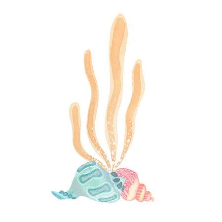 Underseas composition - decorative seaweed and shells. Watercolor hand-painted illustration in pastel colors. Great for undersea-themed prints, seabed scenes in children books, and stickersの写真素材