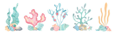 Ocean set - seaweed, corals and seashells. Charming collection of hand-painted watercolor illustrations in pastel colors with delicate textures. Perfect for ocean themed designs, childrens projectsの写真素材