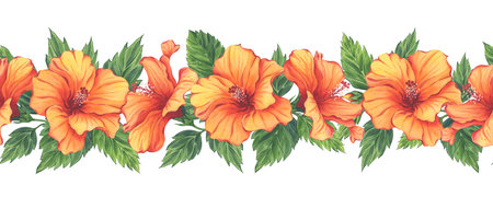 Tropical orange hibiscus floral border in watercolor techniqueの写真素材