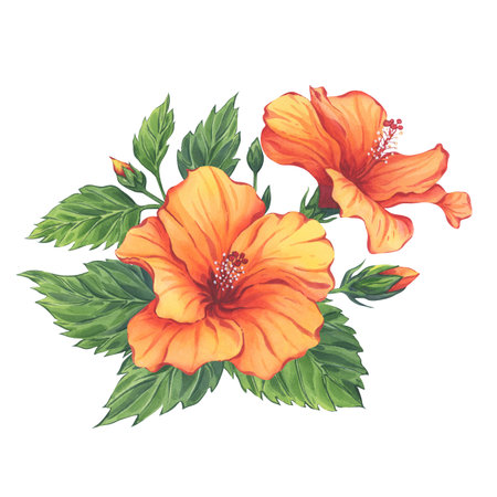 Yellow hibiscus watercolor branch with flowers, leaves and buds isolated on white background. Hand-drawn illustration.の写真素材