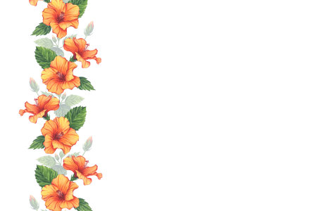 Watercolor orange hibiscus floral border for invitations and cards. Delicate tropical yellow flower decoration with lush foliage. Perfect for event stationery, printable templatesの写真素材
