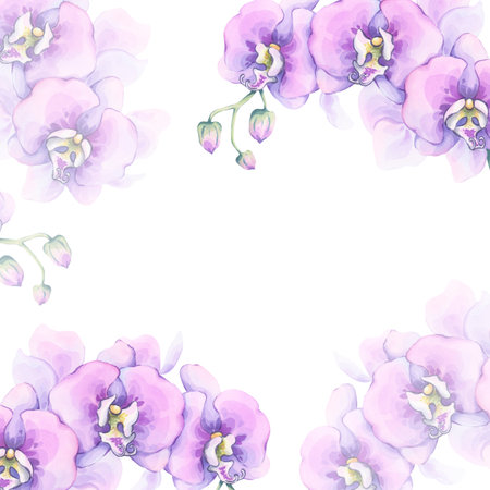 Purple orchid frame watercolor illustration for invitations and stationary. Hand-drawn composition with elegant bright blossoms. Perfect for wedding cards, certificates, romantic floral notebooksの写真素材