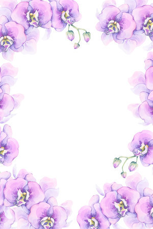 Purple orchid floral frame. Flower illustration. Transparent watercolor style. Hand-painted composition on a white background. Great for greeting cards, luxury gift tags, wall art, wedding invitationsの写真素材