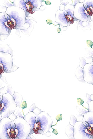 White orchid watercolor frame for cards and invitations. Elegant hand-painted illustration of exotic blossoms with blue centers on a white. Perfect for event programs, stationary, thank you notesの写真素材