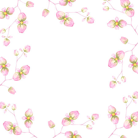 Watercolor begonia flowers frame. A soft floral illustration. Perfect for spring and romantic designの写真素材
