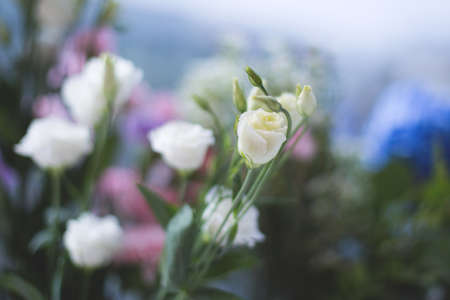 Image of white eustoma on light background. Flowers bouquet recipeの写真素材