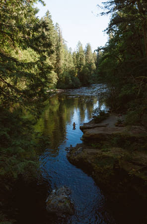 Morning bath in riverの写真素材