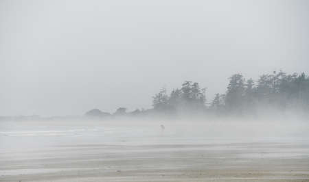 Lonely couple walking on the beach in fogの写真素材