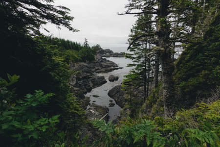 Remote coastal view with islands, cliffs and cloudsの写真素材