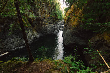 River in deep forestの写真素材