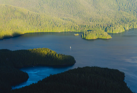 Yacht sailing in the bay with forest around