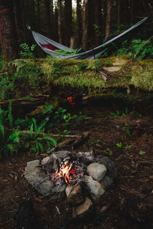 Camping in the rainforest with hammock and campfireの写真素材