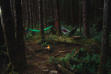Camping in the rainforest with hammock and campfireの写真素材