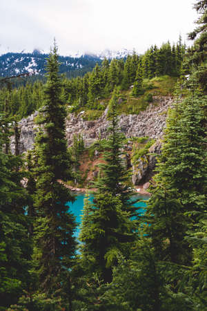 Emerald color lake see through treesの写真素材