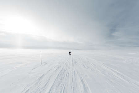 Scandinavian nature in winter above arctic circleの写真素材