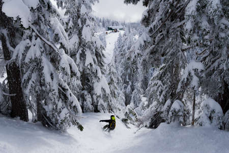 Freeride snowboarder riding through snow covered forestの写真素材