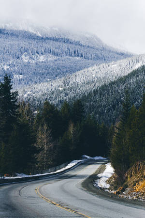 Empty road and forest in clouds and snowの写真素材