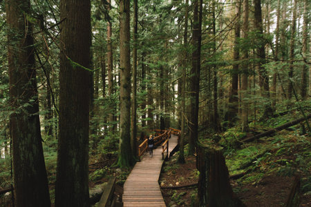 Green rainforest with woman walking through