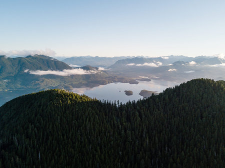 Bay with forest, islands and panoramic view