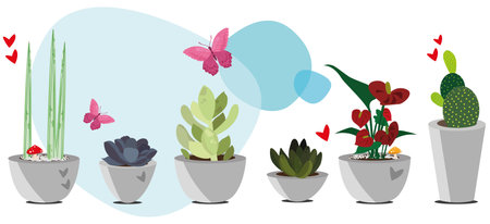 Set of cacti and succulents in pots. vector illustrationのイラスト素材