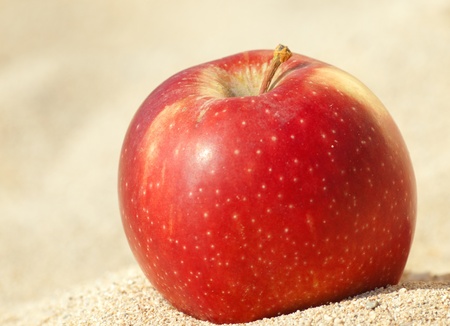 red  apple on sandの写真素材