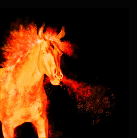 burning running horse isolated on blackの写真素材