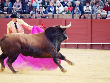SEVILLA -MAY 20: Novilladas in Plaza de Toros de Sevilla. Novillero:Alvaro Sanlucar. May 20, 2012 in Sevilla (Spain) のeditorial素材