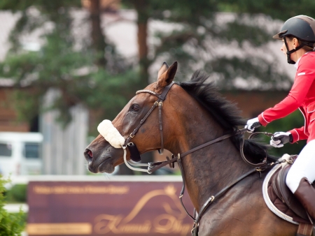 SAINT PETERSBURG-JULY 08: Rider Anna Gromzina on Pimlico in the CSI3*-W/CSIYH1* International Jumping Grand Prix FEI World Cup Competition 140-160cm on July 08, 2012 in Saint Petersburg, Russia.のeditorial素材