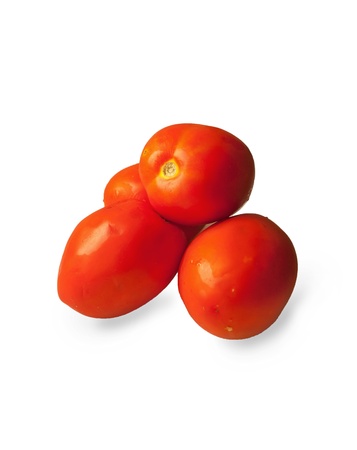 Plum tomatoes isolated  on white background. studioの写真素材